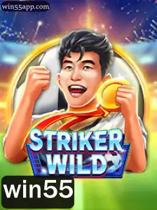 Explorando o Universo de StrikerWILD: Um Guia Completo do Jogo